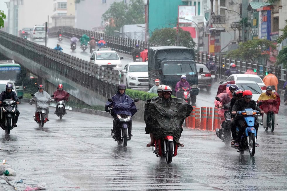 Bảo quản MTT mùa mưa